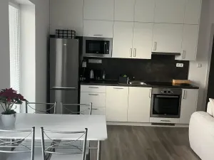 Pronájem bytu 2+kk, Rožnov pod Radhoštěm, Písečná, 48 m2