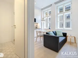 Pronájem bytu 2+kk, Hradec Králové, Eliščino nábřeží, 30 m2