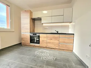 Pronájem bytu 1+1, Bruntál, Družební, 35 m2