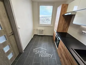 Pronájem bytu 1+1, Bruntál, Družební, 35 m2