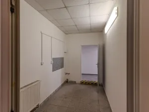 Prodej výrobních prostor, Roudnice nad Labem, Žižkova, 1111 m2