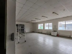 Prodej komerční nemovitosti, Roudnice nad Labem, Žižkova, 1111 m2