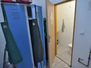 Pronájem obchodního prostoru, Beroun - Beroun-Centrum, Slapská, 68 m2