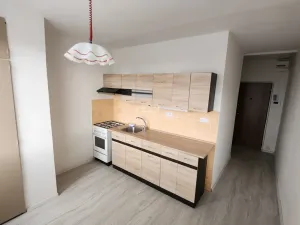 Pronájem bytu 2+1, Lovosice, Osvoboditelů, 54 m2