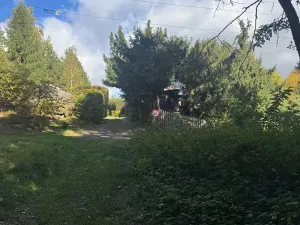 Prodej lesa, Strážiště, 2266 m2