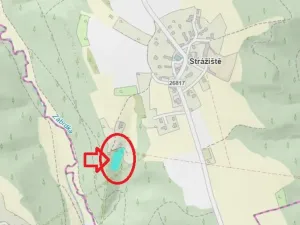Prodej lesa, Strážiště, 2266 m2