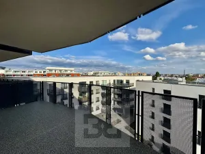 Pronájem bytu 2+kk, Olomouc, Wolkerova, 58 m2