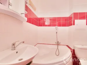 Pronájem bytu 2+kk, Zruč nad Sázavou, náměstí Míru, 36 m2
