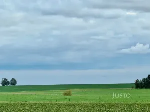 Prodej pole, Černuc, 7167 m2