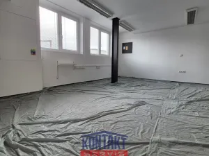 Pronájem skladu, České Budějovice, Rudolfovská tř., 216 m2