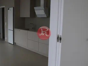 Pronájem bytu 2+kk, Ostrava, F. X. Riepla, 59 m2