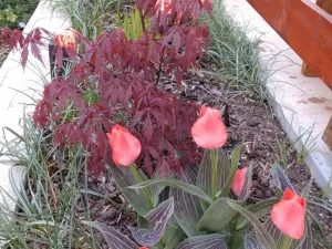 Prodej bytu 2+1, Kamenický Šenov, Palackého, 75 m2