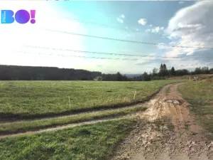 Prodej pole, Lhotka u Litultovic, 11895 m2