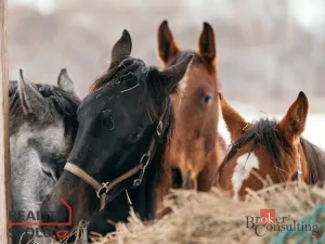 Prodej - jiné, Nučice, 2093 m2