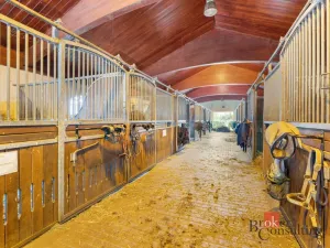 Prodej - jiné, Nučice, 2093 m2