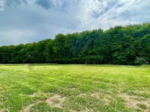 Prodej pozemku pro bydlení, Velká Polom, Okružní, 2292 m2