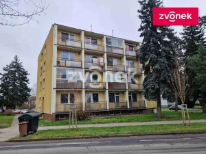 Prodej bytu 1+1, Uherské Hradiště, 44 m2