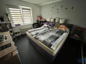 Pronájem bytu 2+1, Horní Slavkov, Kounice, 54 m2