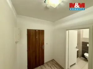Pronájem bytu 1+kk, Brno, Řípská, 48 m2