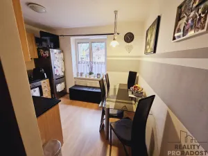 Pronájem bytu 1+1, Dubňany, Hornická, 30 m2