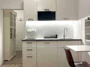 Pronájem bytu 1+kk, Brno - Pisárky, Libušino údolí, 20 m2