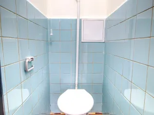 Pronájem bytu 3+1, Opočno, Dobrušská, 75 m2