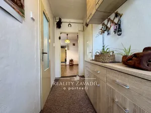 Prodej bytu 1+1, Český Těšín, Na Olšinách, 35 m2