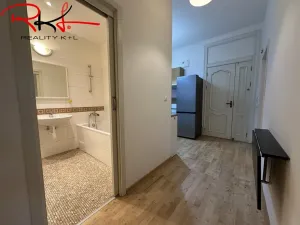 Pronájem bytu 2+1, Praha, Heleny Malířové, 46 m2