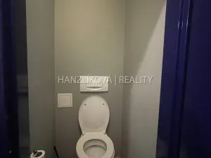 Pronájem bytu 1+1, České Budějovice - České Budějovice 1, Krajinská, 41 m2