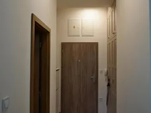 Pronájem bytu 1+kk, Olomouc - Hodolany, Holická, 42 m2