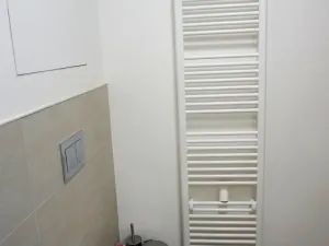 Pronájem bytu 1+kk, Olomouc - Hodolany, Holická, 42 m2