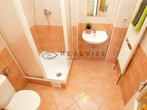 Pronájem bytu 1+kk, České Budějovice, K. V. Raise, 52 m2