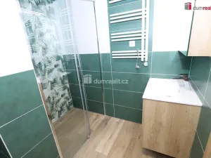 Pronájem bytu 1+1, Cheb, Americká, 36 m2