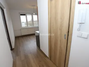 Pronájem bytu 1+1, Cheb, Americká, 36 m2