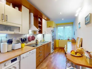 Prodej vícegeneračního domu, Chomutov, Václavská, 156 m2