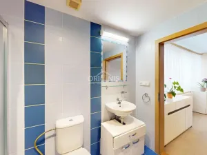 Prodej vícegeneračního domu, Chomutov, Václavská, 156 m2