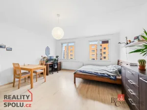 Prodej bytu 1+kk, Plzeň - Bolevec, Krašovská, 33 m2