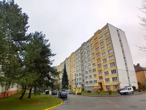 Prodej bytu 2+1, České Budějovice - České Budějovice 3, U Trojice, 63 m2