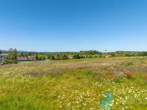 Prodej pozemku pro bydlení, Litvínovice, 1003 m2