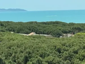 Prodej ubytování, Golem, 3371 m2