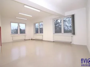 Pronájem skladu, Praha - Strašnice, U trati, 263 m2
