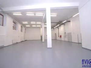 Pronájem skladu, Praha - Strašnice, U trati, 263 m2