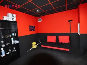 Pronájem komerční nemovitosti, Ostrava, Zborovská, 102 m2