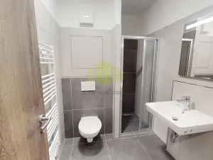 Pronájem bytu 1+kk, Olomouc, Janského, 38 m2