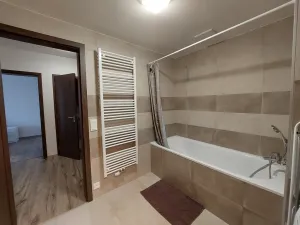 Pronájem bytu 2+kk, Ostrava - Moravská Ostrava, Důlní, 73 m2