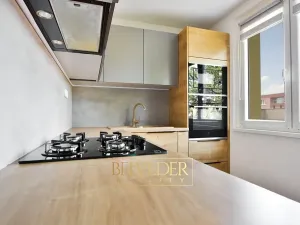 Pronájem bytu 2+1, Duchcov, Sadová, 52 m2