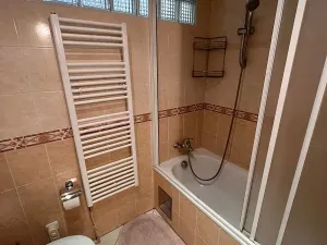 Pronájem bytu 1+1, Praha, 44 m2