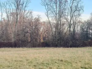 Prodej pole, Oseček, 76028 m2