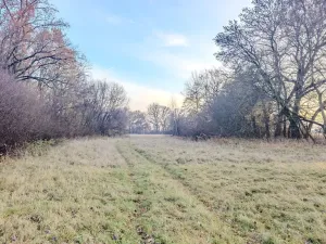 Prodej pole, Oseček, 76028 m2