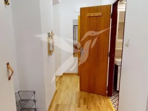 Pronájem bytu 1+1, Plzeň, Barákova, 45 m2